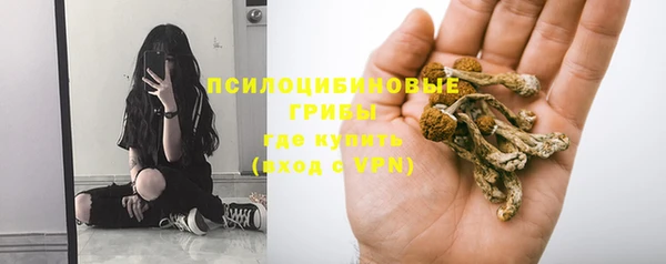 первитин Арсеньев