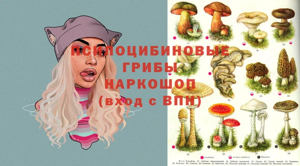 первитин Арсеньев