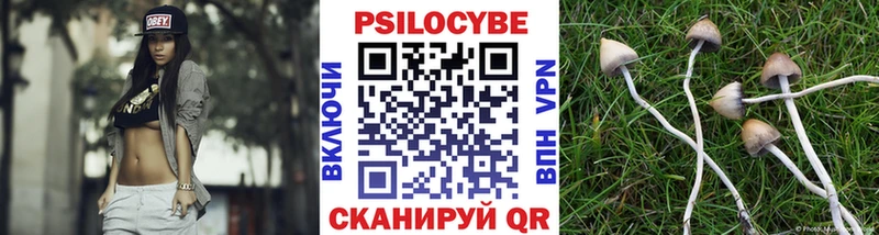 Псилоцибиновые грибы ЛСД дарк нет какой сайт Спас-Деменск